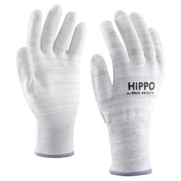 Hippo/8